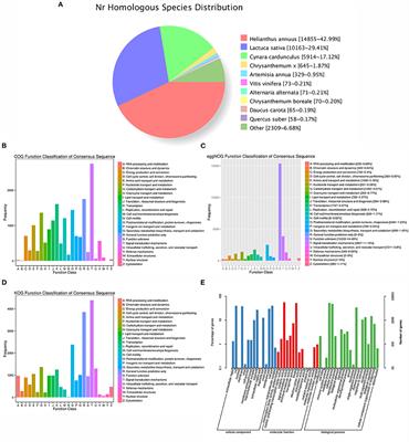 Full-Length Transcriptome Analysis Reveals Candidate Genes Involved in Terpenoid Biosynthesis in Artemisia argyi